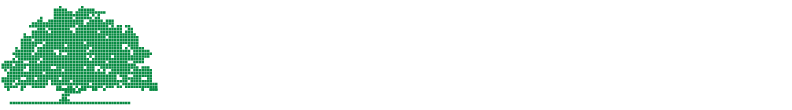 LOGO MESQUITE TECH